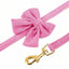 Luxury Corduroy Pet Set: Harness, Bowtie Collar & Leash Combo