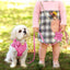 Luxury Corduroy Pet Set: Harness, Bowtie Collar & Leash Combo