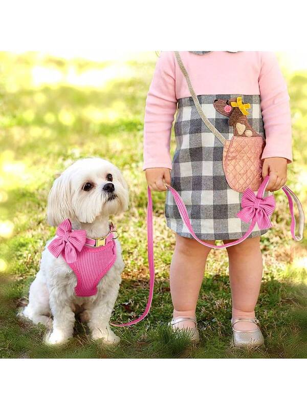 Luxury Corduroy Pet Set: Harness, Bowtie Collar & Leash Combo