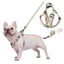 Fashion Print Dog Harness and Leash Set, Breathable Mesh with Reflective Details, Escape Proof and Comfortable for Small and Medium Dogs Like French Bulldogs, Durable Walking Gear for Outdoor Adventures, Essential Accessory for Stylish Walks