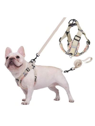 Fashion Print Dog Harness and Leash Set, Breathable Mesh with Reflective Details, Escape Proof and Comfortable for Small and Medium Dogs Like French Bulldogs, Durable Walking Gear for Outdoor Adventures, Essential Accessory for Stylish Walks