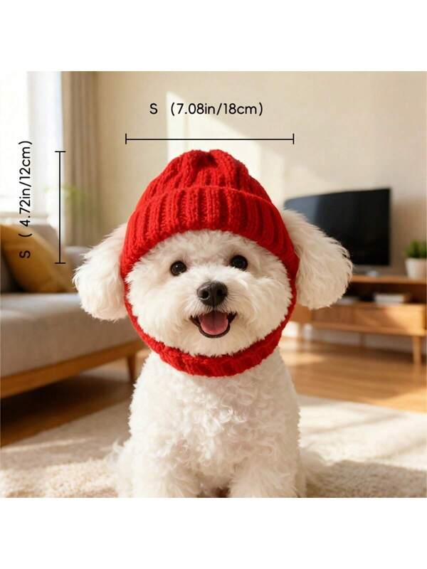 Knitted wool hat, Maltese dog headband with exposed ears to keep warm both outdoors and indoors.
