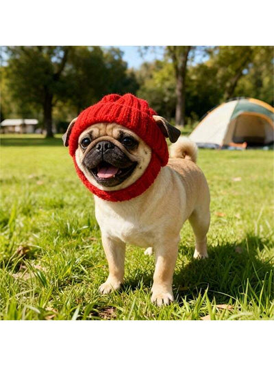 Cozy Knit Winter Beanie: Ear-Free Warmth for Dogs &amp; Cats