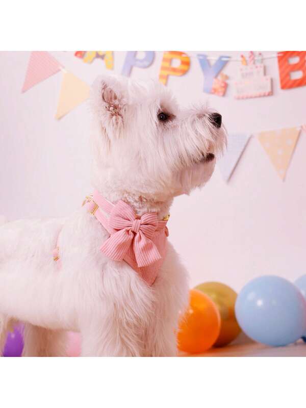 Luxury Corduroy Pet Set: Harness, Bowtie Collar & Leash Combo