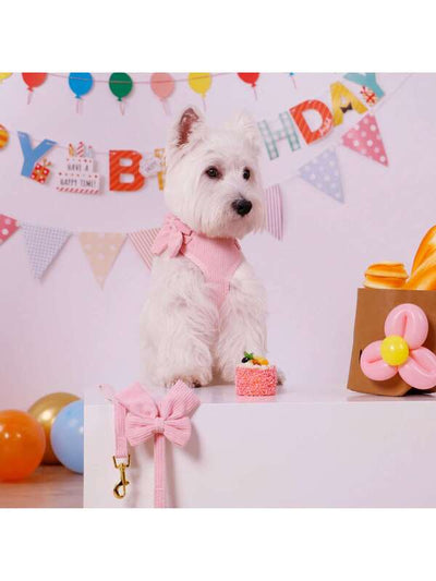 Luxury Corduroy Pet Set: Harness, Bowtie Collar & Leash Combo