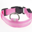 Keep Your Fur Baby Safe with This LED Collar