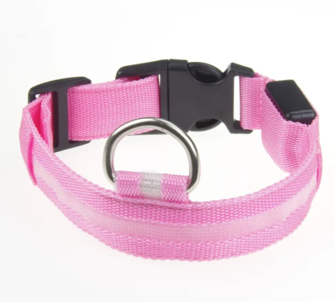 Keep Your Fur Baby Safe with This LED Collar