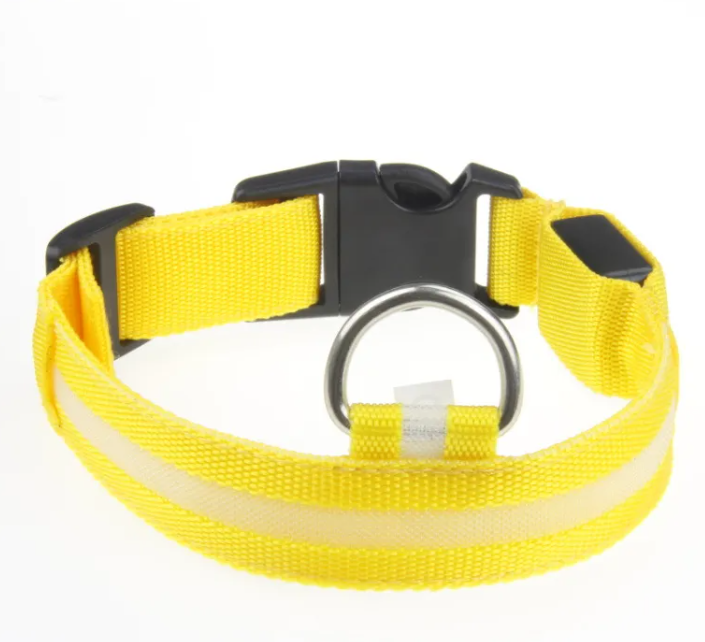 Keep Your Fur Baby Safe with This LED Collar