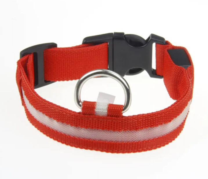 Keep Your Fur Baby Safe with This LED Collar