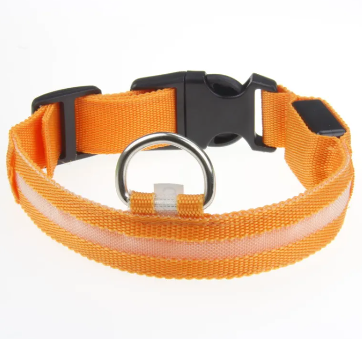 Keep Your Fur Baby Safe with This LED Collar