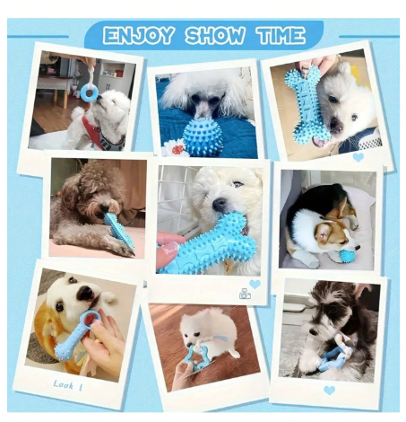 7-Piece Premium Puppy Play Set: Squeaky &amp; TPR Interactive Toys