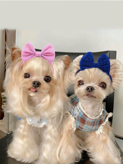 Elegant Mini Bow Headband: The Classic "Grand Finale" Accessory