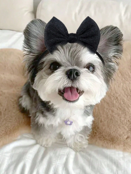 Elegant Mini Bow Headband: The Classic "Grand Finale" Accessory