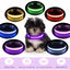 Keep Your Fur Baby Safe with This LED Collar