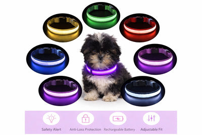 Keep Your Fur Baby Safe with This LED Collar