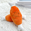 Interactive Training Toy for Pets - Bite-Resistant Chicken Leg