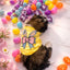 "Happy Easter" Celebration Tee: Vibrant Bunny Print Pet Shirt Puppy