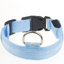 Keep Your Fur Baby Safe with This LED Collar