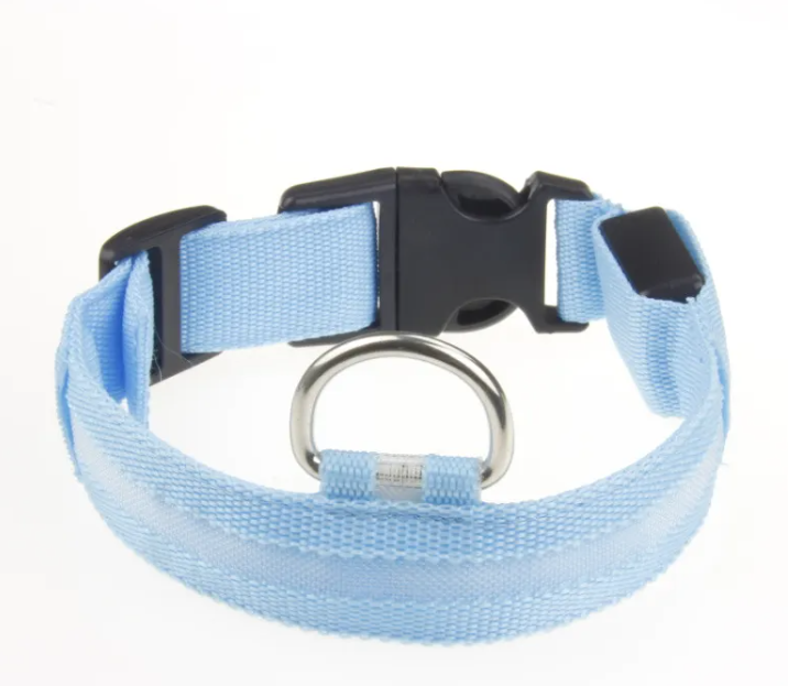 Keep Your Fur Baby Safe with This LED Collar
