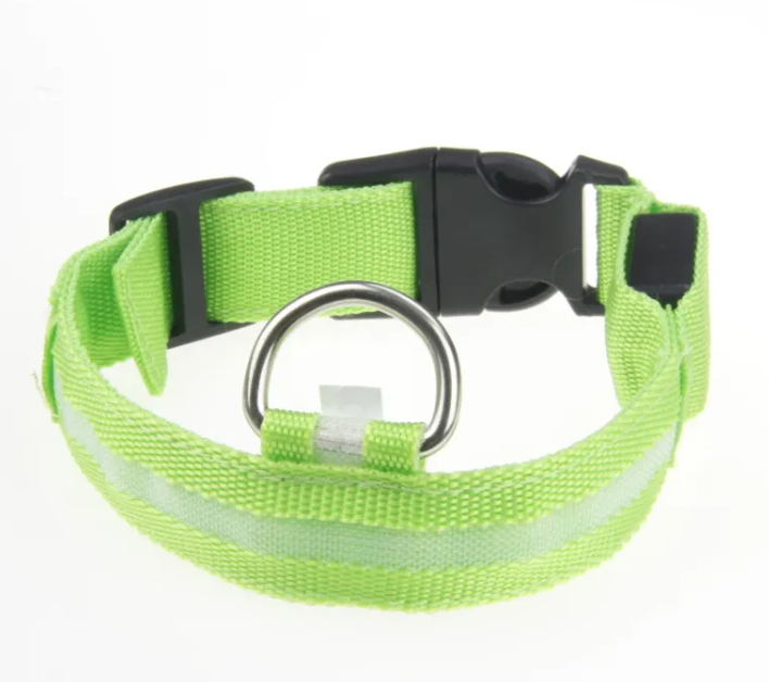 Keep Your Fur Baby Safe with This LED Collar
